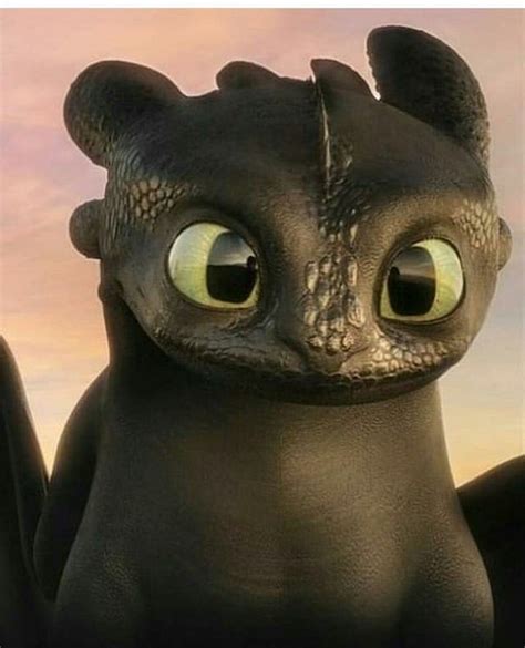 You Can See Hiccup In His Eyes 😭😍 Cute Toothless Toothless And