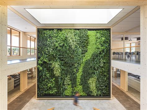 Green Office Tips How To Create A Greener Office Building Gbandd