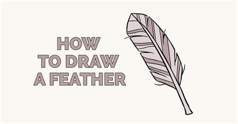 With practice it would take around 5 minutes. How to Draw a Feather - Really Easy Drawing Tutorial in ...