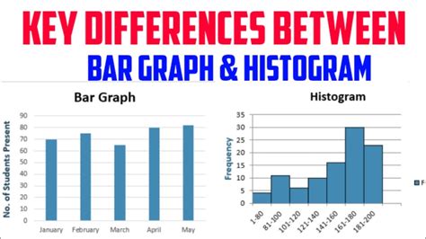 Similarities Between Bar Chart And Histogram Chart Examples My Xxx