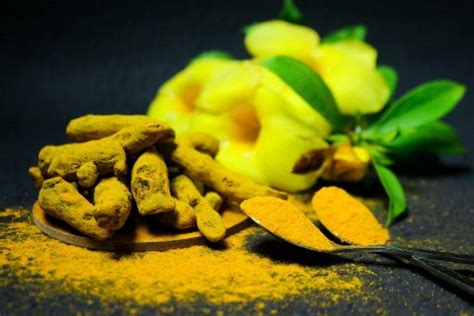 Turmeric For Weight Loss And Joint Pain Key Benefits You Should Know