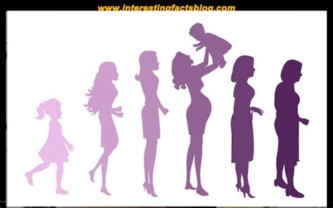Stages Of A Womans Life Womens Life Stages Life Stages Women