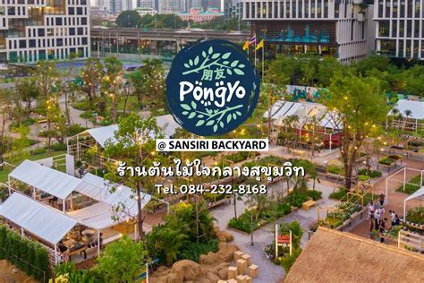 Pongyo at Sansiri Backyard - Home | Facebook