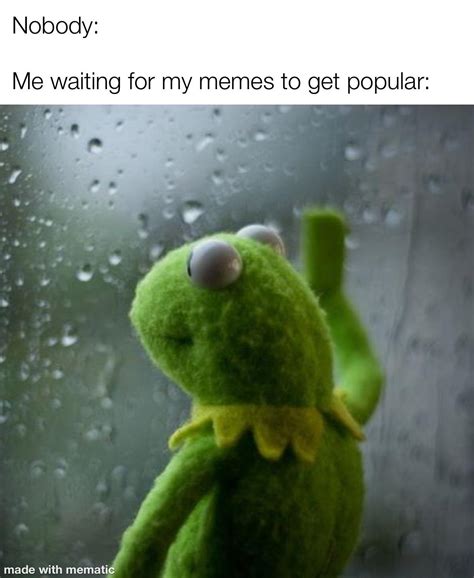 Kermit Meme Sad Captions Trend Today