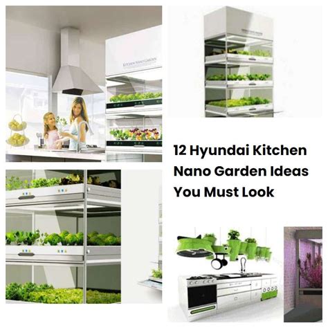 12 Hyundai Kitchen Nano Garden Ideas You Must Look Sharonsable