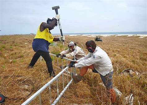 Raine Island Recovery Project Department Of Environment Science And