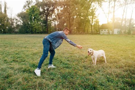 Guy Holding His Friend Dog Labrador And Smiling Stock Image Image Of