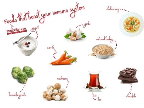 Foods that strengthen the immune system. How to Boost Your Immune System