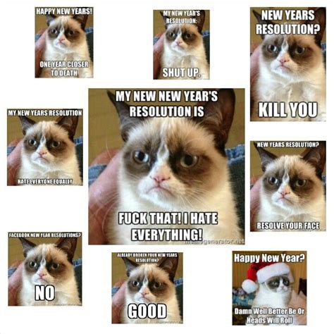 New Years Resolutions Grumpy Cat Style