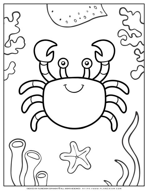 Sea Animals Coloring Page Crab Planerium