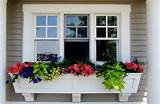 Images of Window Box Ideas With Artificial Flowers