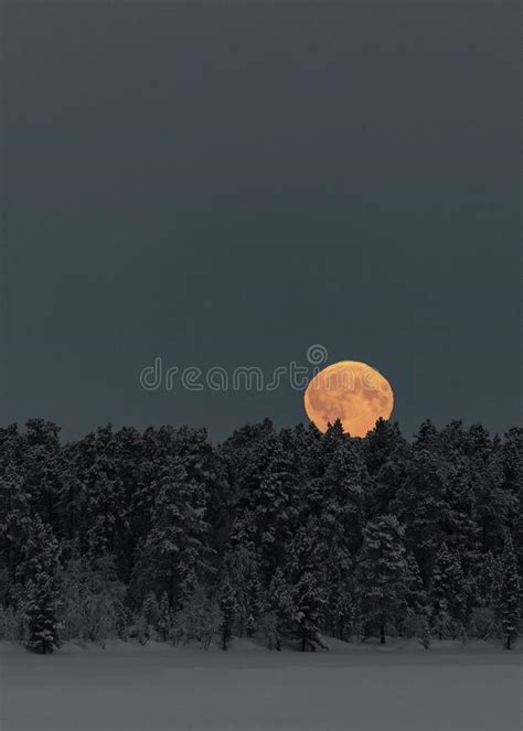 Lood Moon Hangs In The Sky Above Trees In A Snowy Winter Landscape