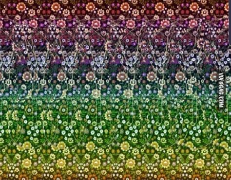 3d Butterfly Magic Eye Pictures Magic Eyes Illusion Pictures