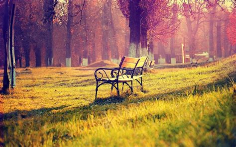 Park Bench Wallpapers Top Free Park Bench Backgrounds Wallpaperaccess