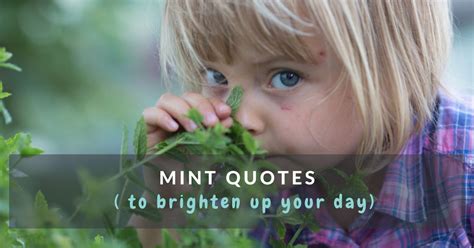 80 Mint Quotes To Brighten Up Your Day With Images Mums Invited