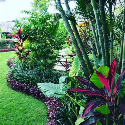 Tropical Backyard Landscaping Tropical Garden Design Florida