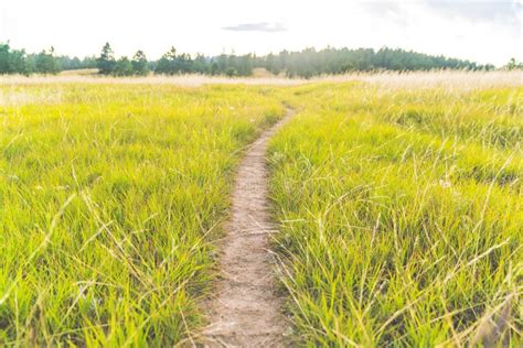 Trail The Grass Field Stock Image Image Of Country 125524473