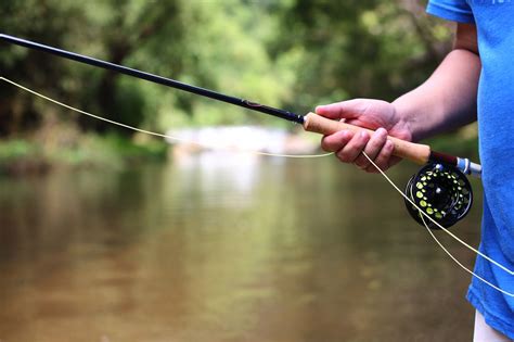 5 Best 6 Weight Fly Rods 2023 Buyers Guide Into Fly Fishing