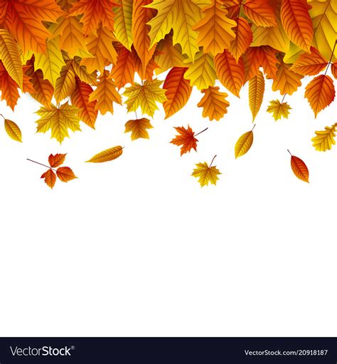 Autumn Leaves Falling Background
