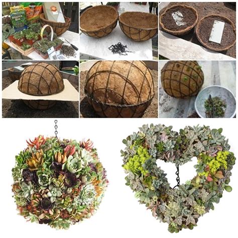 Rake the soil smooth and even. Gorgeous Gardening - Create Your Own Hanging Succulent Ball