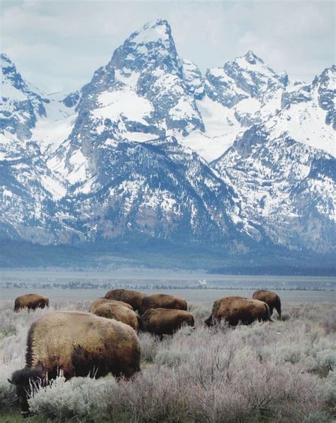 Some Highlights Of The Grand Teton National Park Wyoming Usa Teton