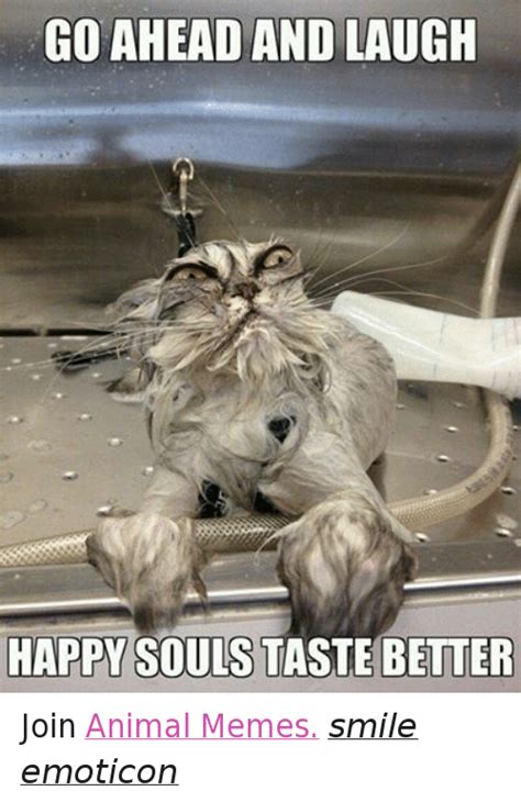 Go Ahead And Laugh Happy Souls Taste Better Join Animal Memes Smile Emoticon Animals Meme On Meme