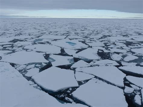 Aktion für Umweltschutz in der Arktis | Umweltbundesamt