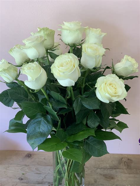12 Long Stem White Roses W813 In San Francisco Ca Fillmore Florist