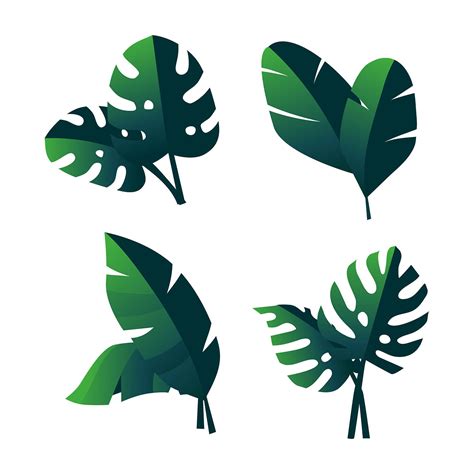 Tropical Green Leaves Clipart Set Vector Vector Art At Vecteezy