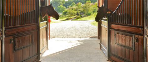 Equine Elegance 8 World Class Horse Farms Christies International