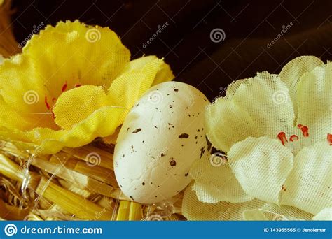 Quail Egg Easter Egg Flowers Easter Christian Holidays Stock Image