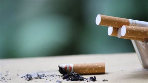 Не тільки в сигаретах в яких продуктах міститься нікотин Правий берег