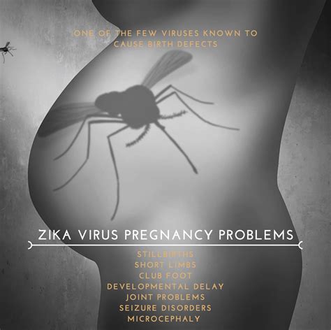 Zika Virus Facts You Need To Know