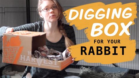 Make A Diy Digging Box For Your Rabbit Youtube