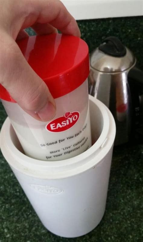 Maybe you would like to learn more about one of these? Coconut Yogurt - Easy Lo-Carb