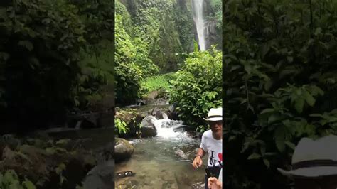 The stream ends in a natural rock pool ideal for swimming. Air terjun Sekumpul, Bali - YouTube