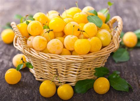 What Is A Yellow Plum With Pictures