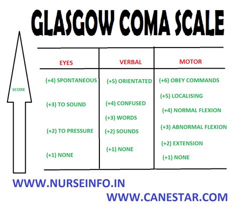 Glasgow Coma Scale Nurse Info