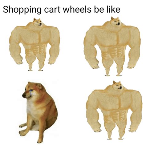 Strong Dog Cool Rmemes