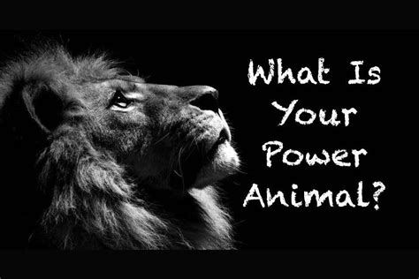 What Is Your Power Animal