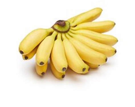 Baby Banana 1lb Divine Harvest Foods