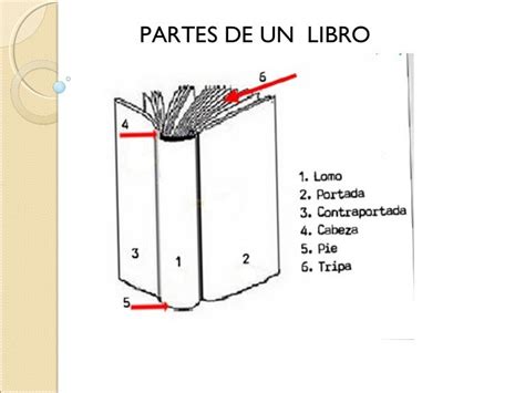 Partes Del Libro