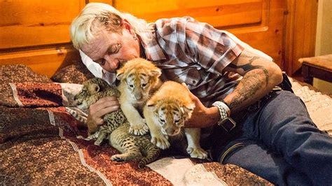 Tiger King Where Are They Now Joe Exotic Hd Wallpaper Pxfuel