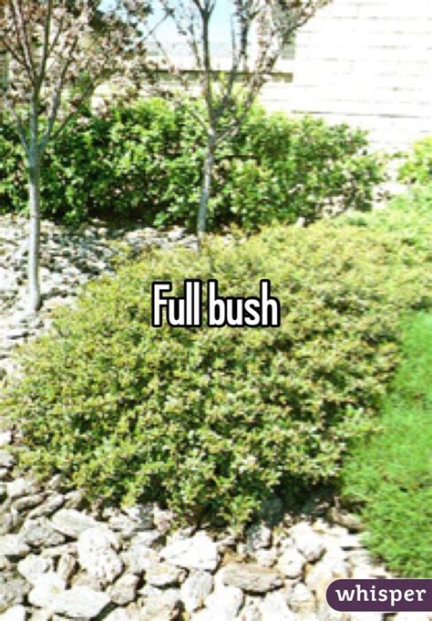 full bush
