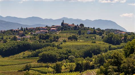 Slovenia Wine Country Guide