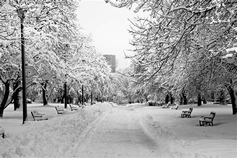 Snow Storm Albany Ny 2011 Feb 02 Winter