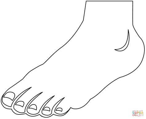 Leg Coloring Page Free Printable Coloring Pages