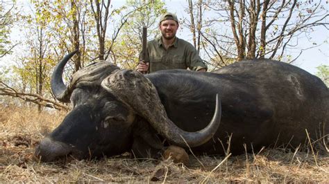 Hunting Cape Buffalo Youtube