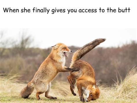 When She Finally Gives You Access To The Butt Ifunny