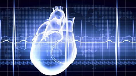 Kardiolodzy o nowych metodach leczenia migotania przedsionków Wiadomości
